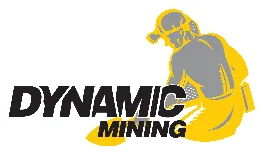 Dynamic Mining